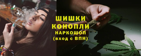 дживик Аркадак