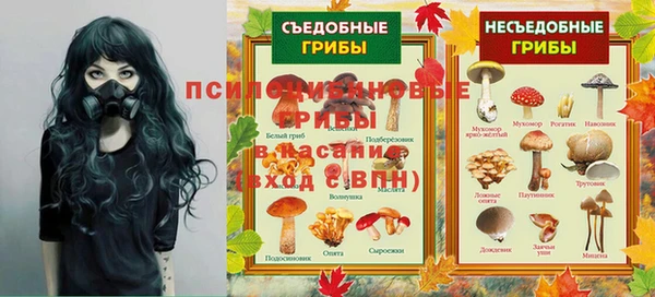 трава Арсеньев