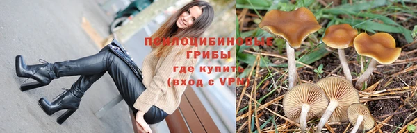 дживик Аркадак