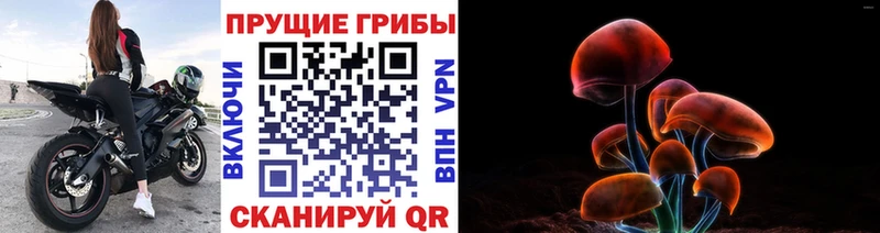Псилоцибиновые грибы MAGIC MUSHROOMS  как найти закладки  Асино 