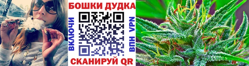 Канабис гибрид  Асино 